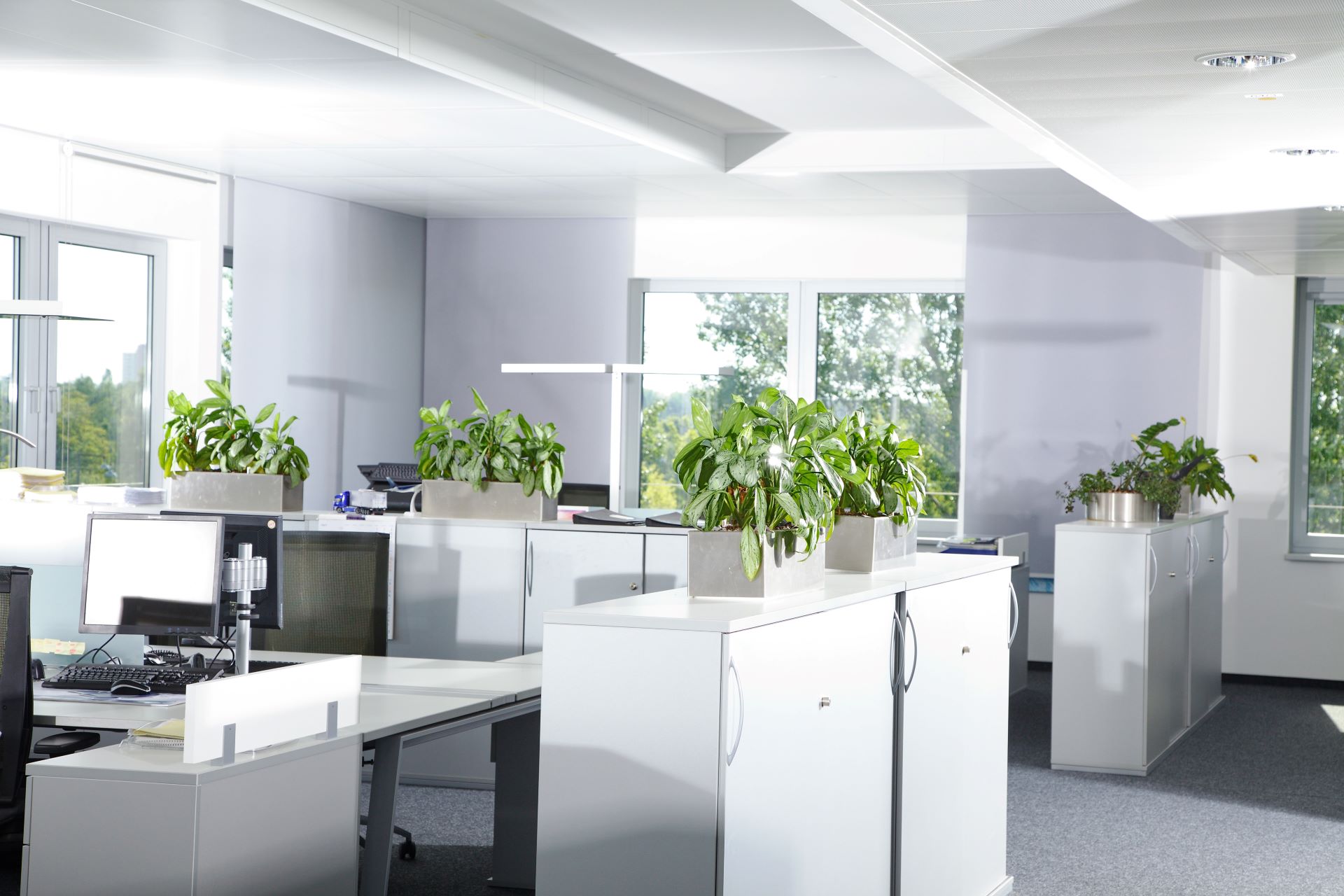 Resume Writing Services Elanora QLD